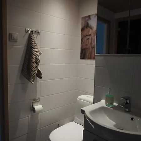 Apartment Spacious Apartment With Sauna In A Good Location Kuusamo